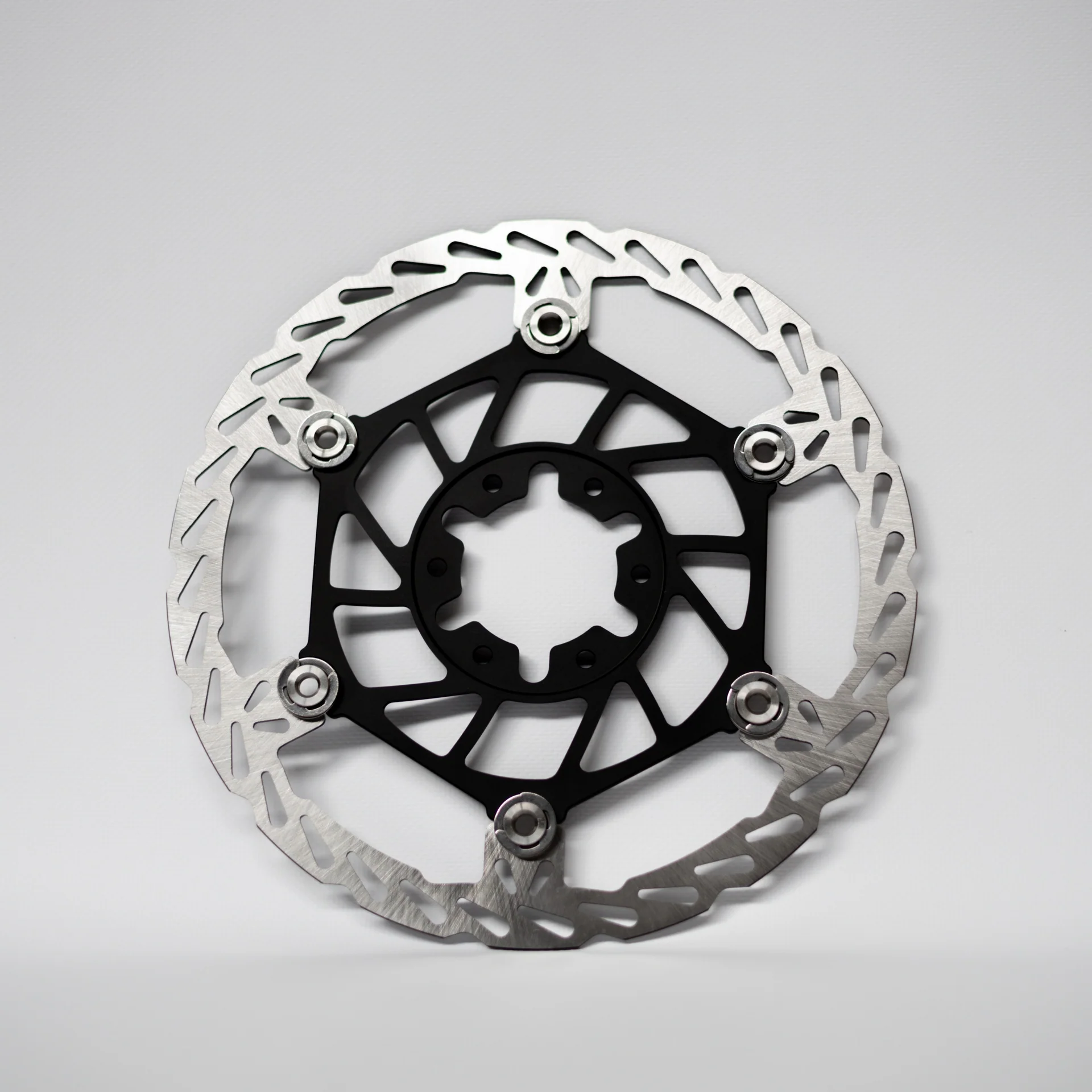 EBMX 250mm Front and Rear Brake Rotors w/ Brackets - Image 3