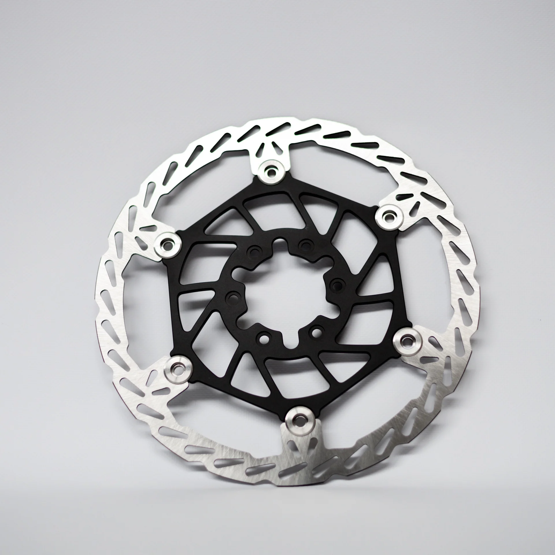 EBMX 250mm Front and Rear Brake Rotors w/ Brackets - Image 5
